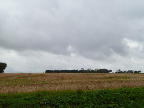 2012-10-18 09-49-15 - 0002