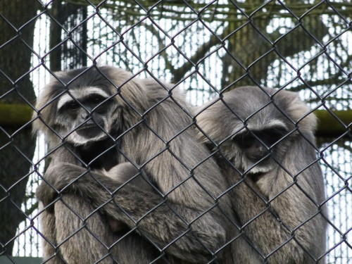 2013-02-05 14-16-46 - 0039