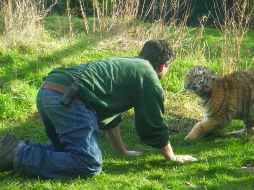 2013-02-05 15-17-50 - 0107