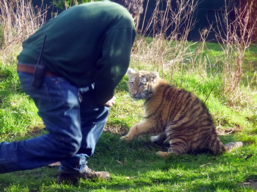 2013-02-05 15-18-03 - 0109