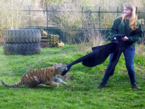 2013-02-05 15-19-15 - 0113