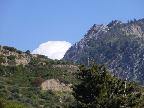 2013-04-10 12-51-56 - 0001