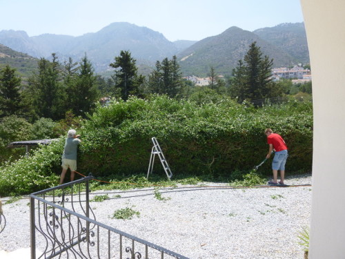 Team Fix it Hedge cutting!
