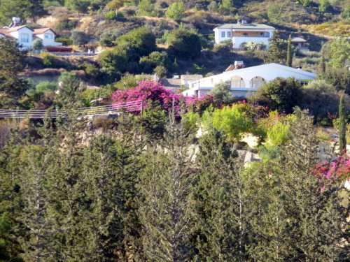 Our house from the ravine