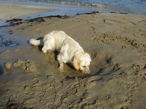 12-02-14 06-33-28 - 0024