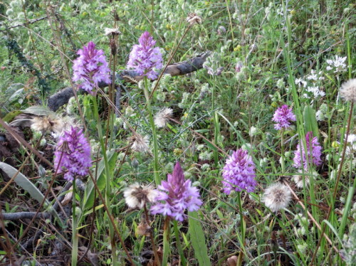 21-04-14 04-33-15 - 0007