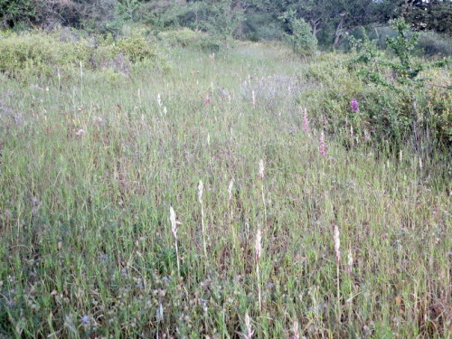 21-04-14 04-42-59 - 0013