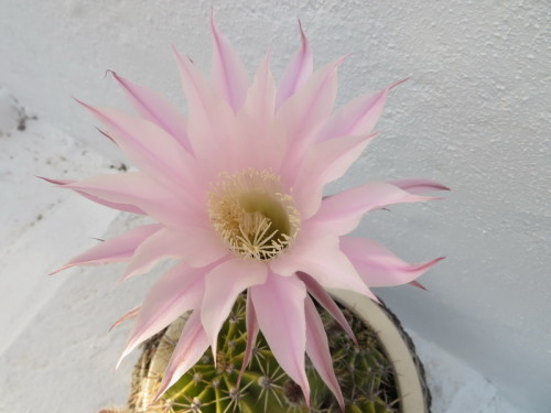 22-04-14 15-19-23 - 0001