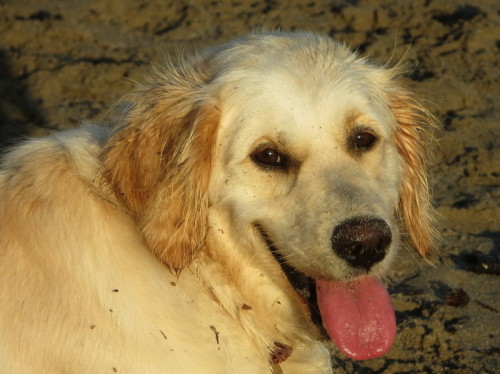 09-08-14 03-53-34 - 0036