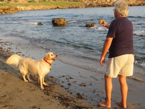 10-08-14 03-50-53 - 0034