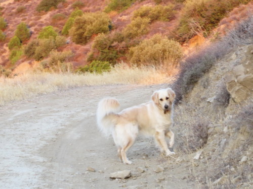 11-08-14 03-21-39 - 0002