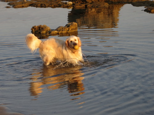 12-08-14 03-44-59 - 0022