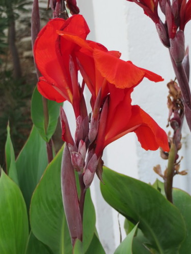 12-08-14 03-58-45 - 0029