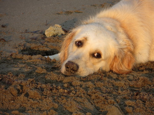 13-08-14 03-39-14 - 0021