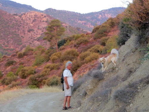 14-08-14 03-17-51 - 0015