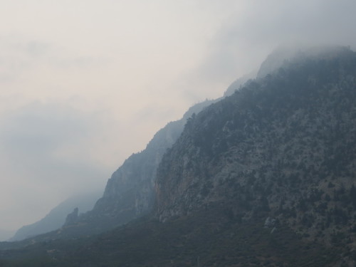 19-08-14 03-20-43 - 0001