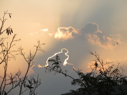 20-08-14 03-38-59 - 0001