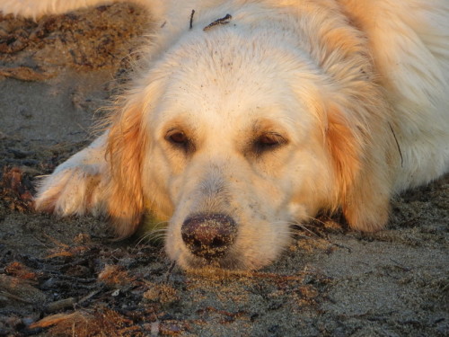 22-08-14 03-35-28 - 0011