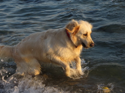 23-08-14 03-44-37 - 0022