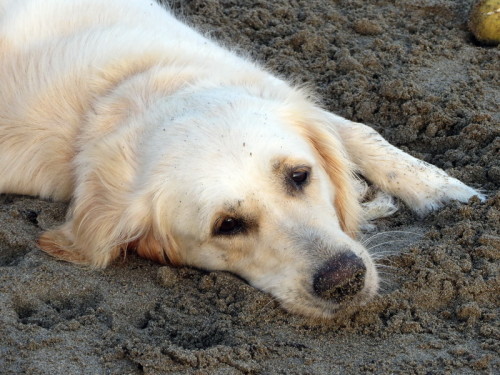 06-09-14 03-44-09 - 0009