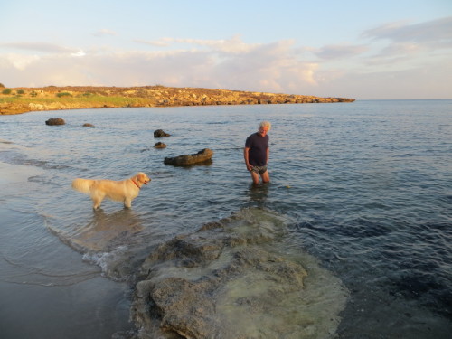 06-09-14 03-50-31 - 0019