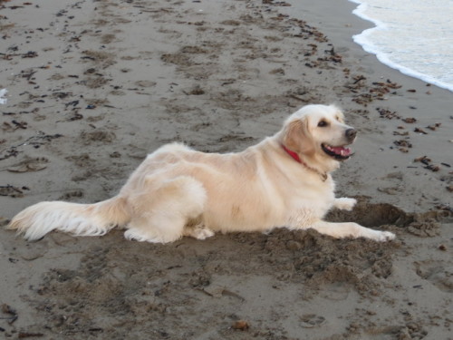 07-09-14 03-34-33 - 0009