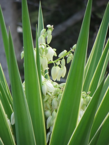 10-09-14 08-26-49 - 0010