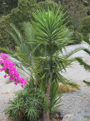 10-09-14 08-29-16 - 0011