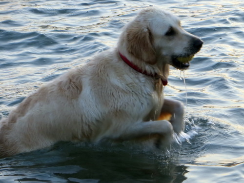 14-09-14 03-47-46 - 0008