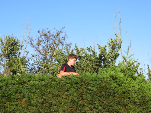 08-10-14 15-26-49 - 0009