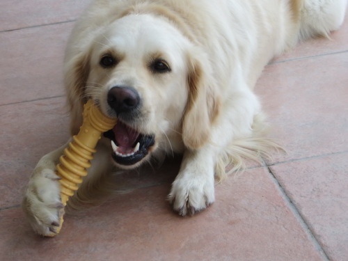 13-10-14 12-24-54 - 0017