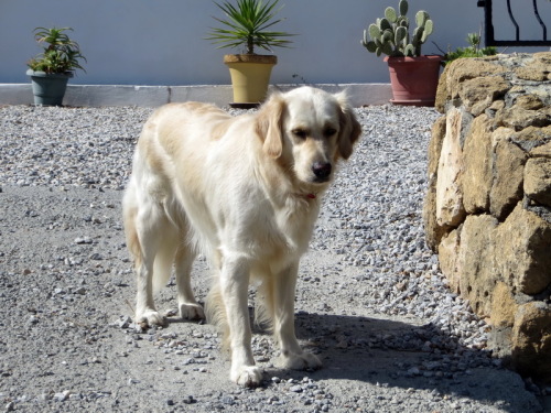 16-10-14 09-46-21 - 0003