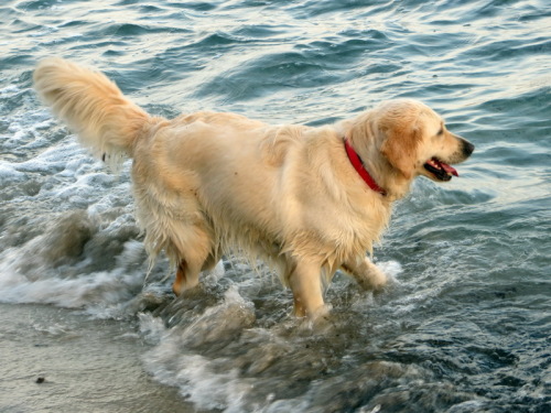 18-10-14 04-21-44 - 0006