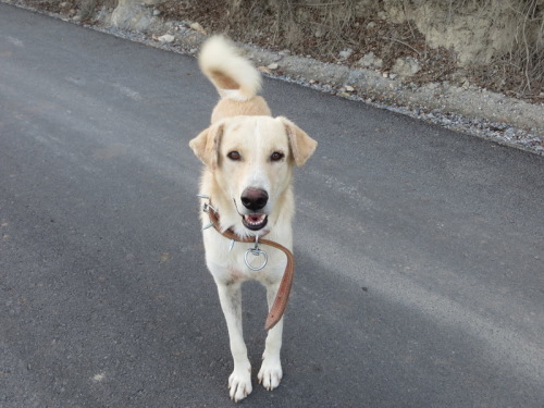 20-10-14 04-22-50 - 0003