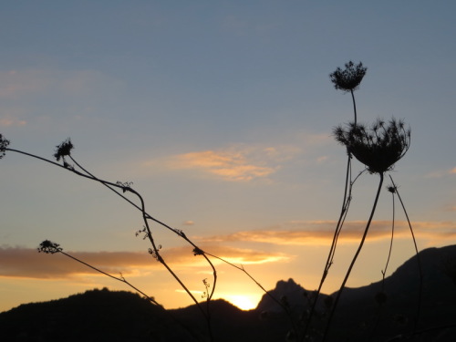 21-10-14 04-07-28 - 0006