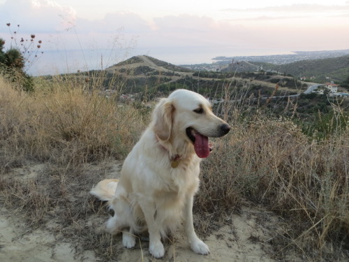 23-10-14 04-10-49 - 0003