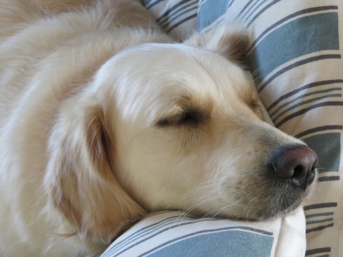 Spoilt..........moi?!