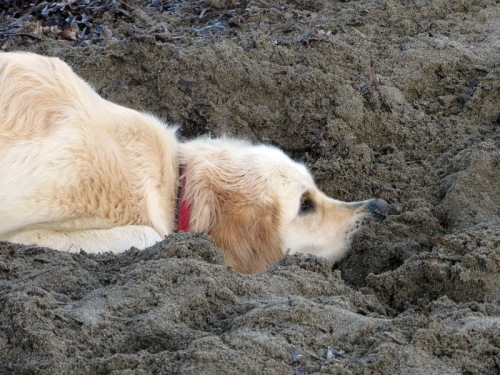 09-11-14 05-11-06 - 0054