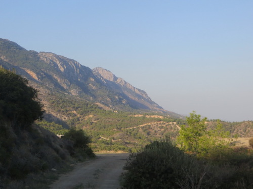 10-11-14 05-37-52 - 0008