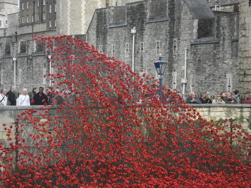 10425487_10152682727110186_6531809057081036160_n