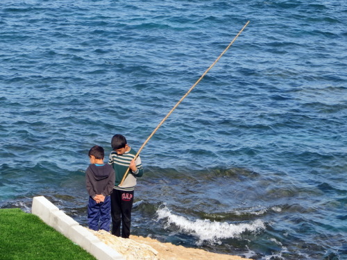 11-11-14 11-40-32 - 0021