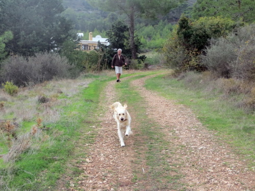 13-11-14 06-01-46 - 0011