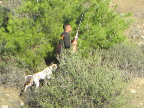 16-11-14 12-46-11 - 0002