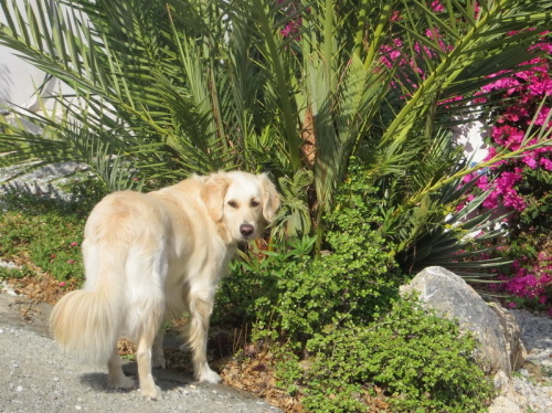 17-11-14 09-18-18 - 0011