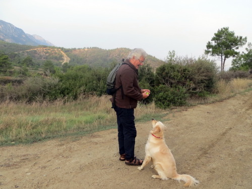 19-11-14 05-15-36 - 0003