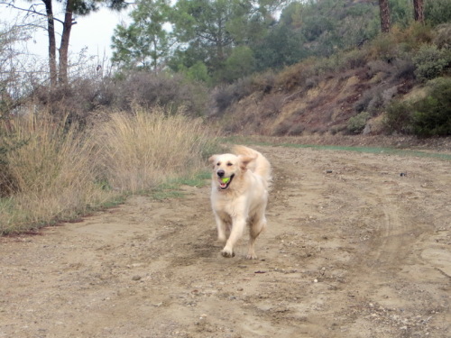 19-11-14 05-18-47 - 0007