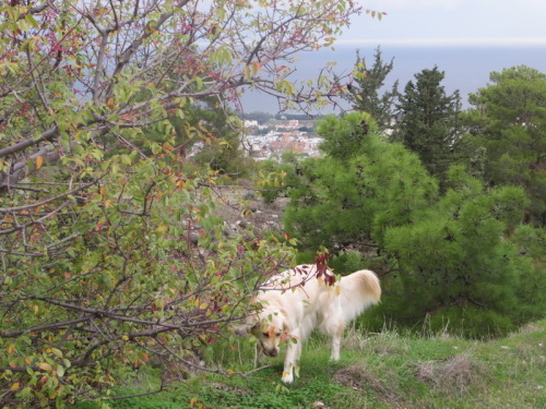 21-11-14 05-27-47 - 0004