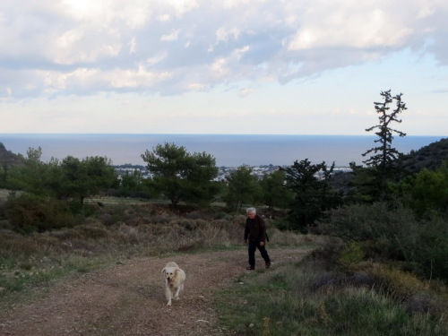 22-11-14 05-47-11 - 0007