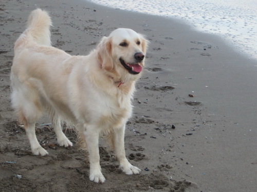 23-11-14 05-18-37 - 0011