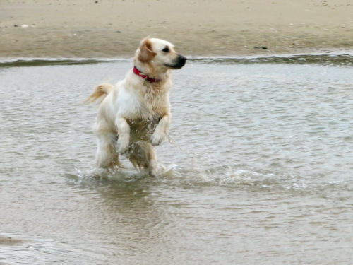 03-12-14 15-10-16 - 0007